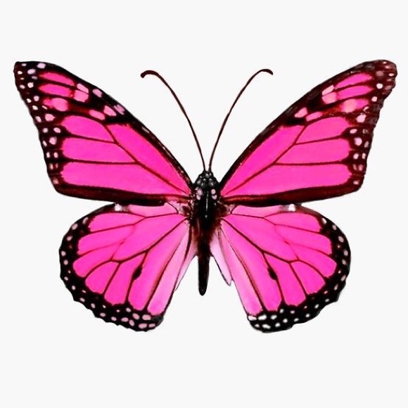 ❄️~~Everything below has sold ~~🦋 - Picture 1 of 1